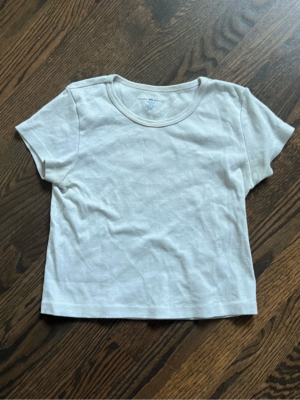 Brandy Melville Crewneck Tee in Baby Blue